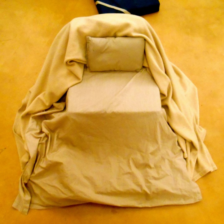 My nest of strong determination