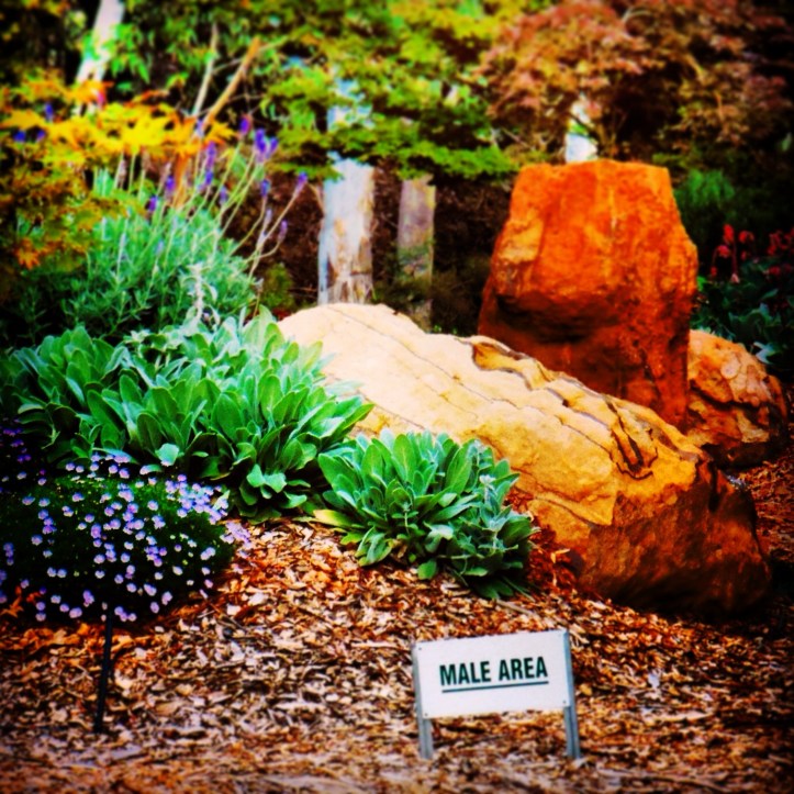 Male Area - no girls allowed! 