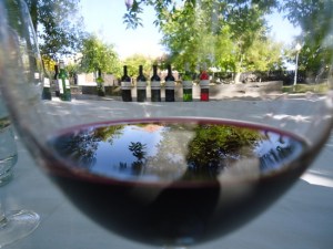 1.1303377032.life-through-a-different-lens