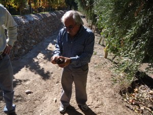 1.1304029875.an-angel-of-mercy-or-at-least-malbec