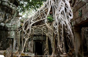 3.1361143876.more-jungle-fever